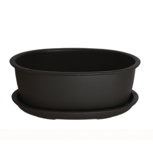 Bonsai ovál s podmiskou