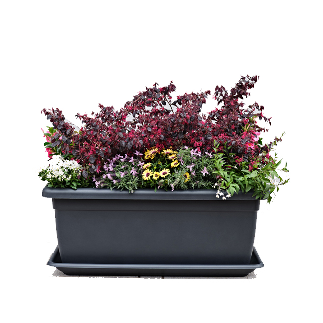 Koryto Tikal + podmiska